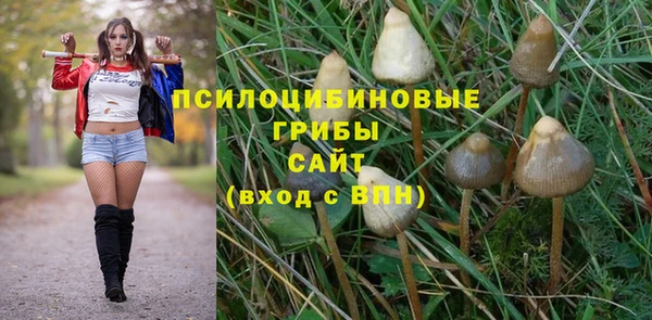 бошки Абдулино
