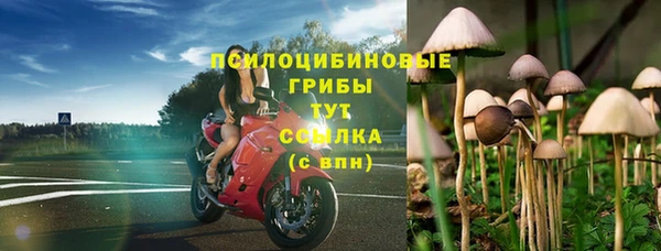 эйфоретик Абаза
